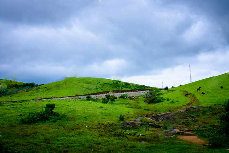 Top Vagamon holiday packages, hotel, cabs and sightseeing
