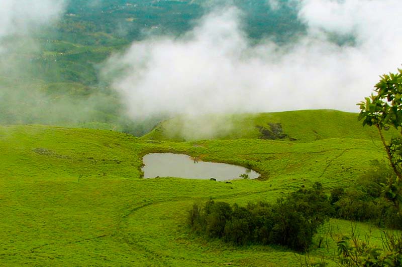 Top Wayanad holiday packages, hotel, cabs and sightseeing