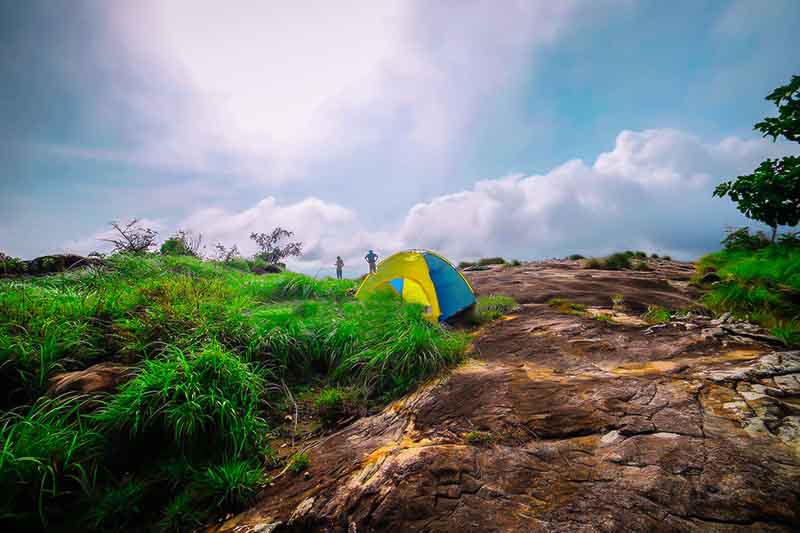 Top Wayanad holiday packages, hotel, cabs and sightseeing