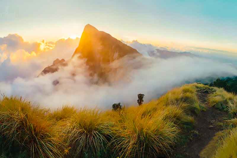 Top Meesapulimala holiday packages, hotel, cabs and sightseeing