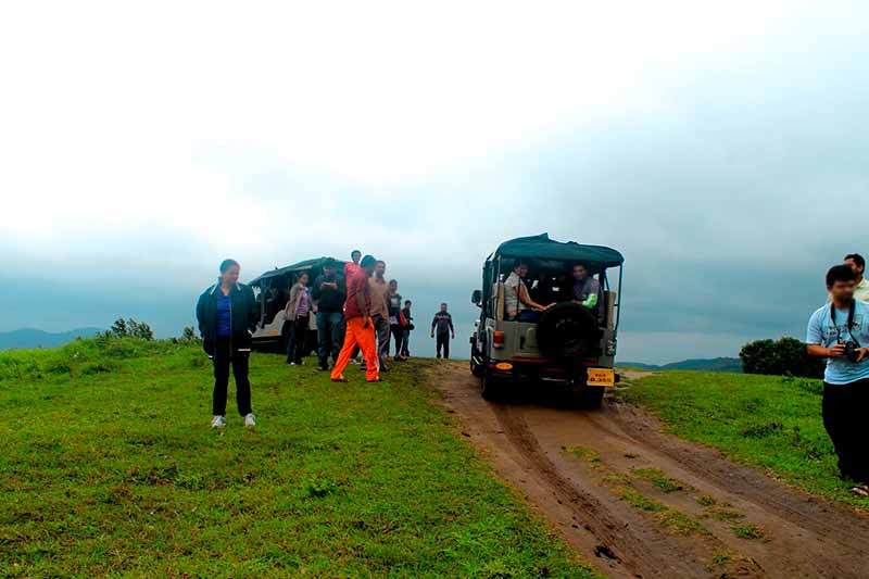 Top Thekkady holiday packages, hotel, cabs and sightseeing
