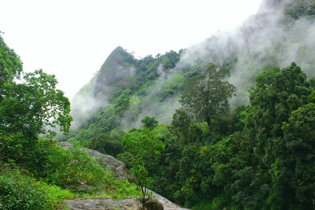 Holidays in Vavul Mala | Tour Packages, Tourist Places, Hotels & Taxi Services